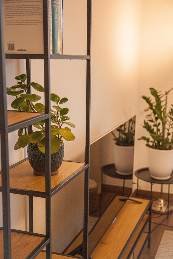 Przytulny Apartament Mickiewicza 14 4 Wielen 外观 照片